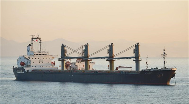 98年日本造31962DWT外贸散货船/S02737 