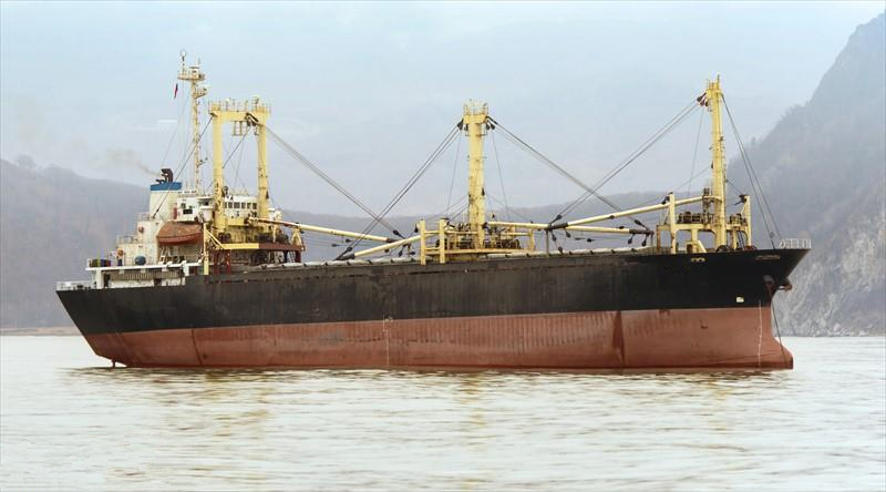 出售1990年日本造7863吨货船
