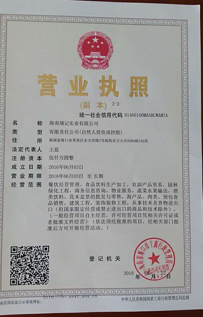 海南璜记实业有限公司