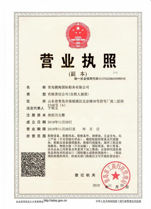 青岛腾海国际船务有限公司