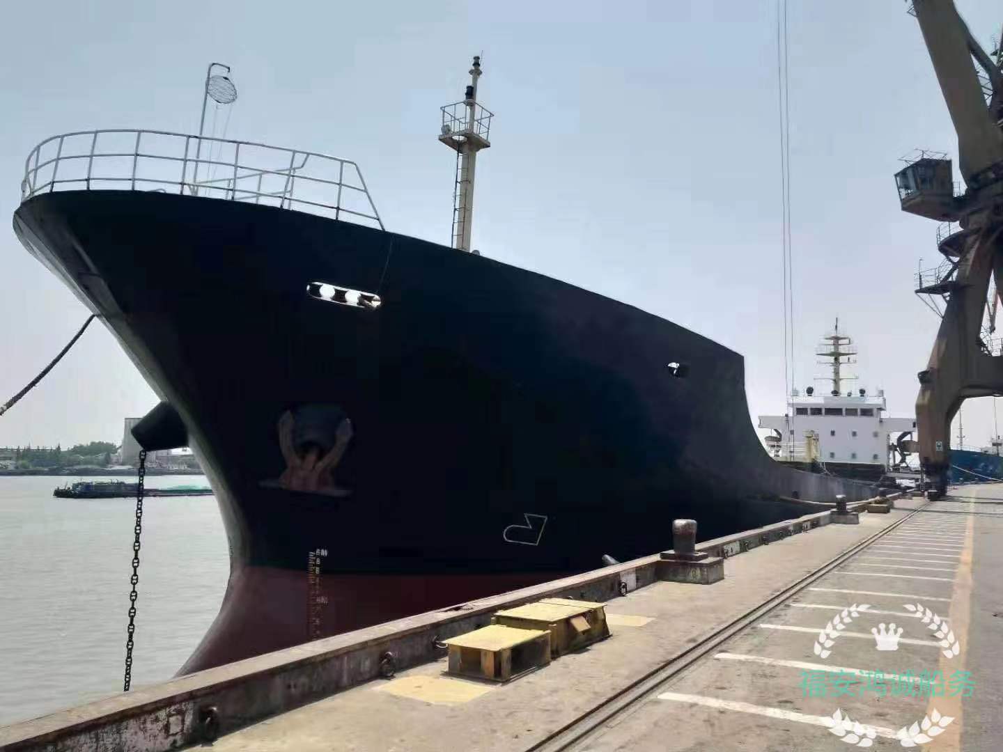 出售5000吨散货船：2008年5月浙江造