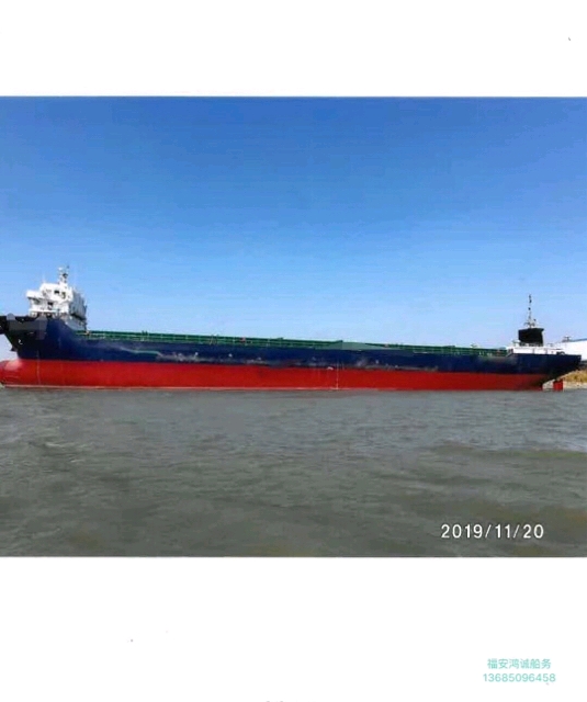 淡定