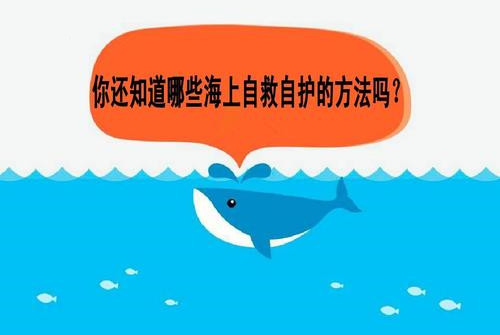 可盐可甜