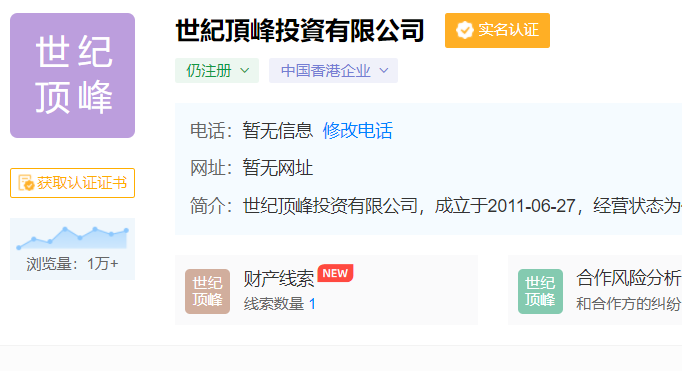 世纪顶峰投资有限公司