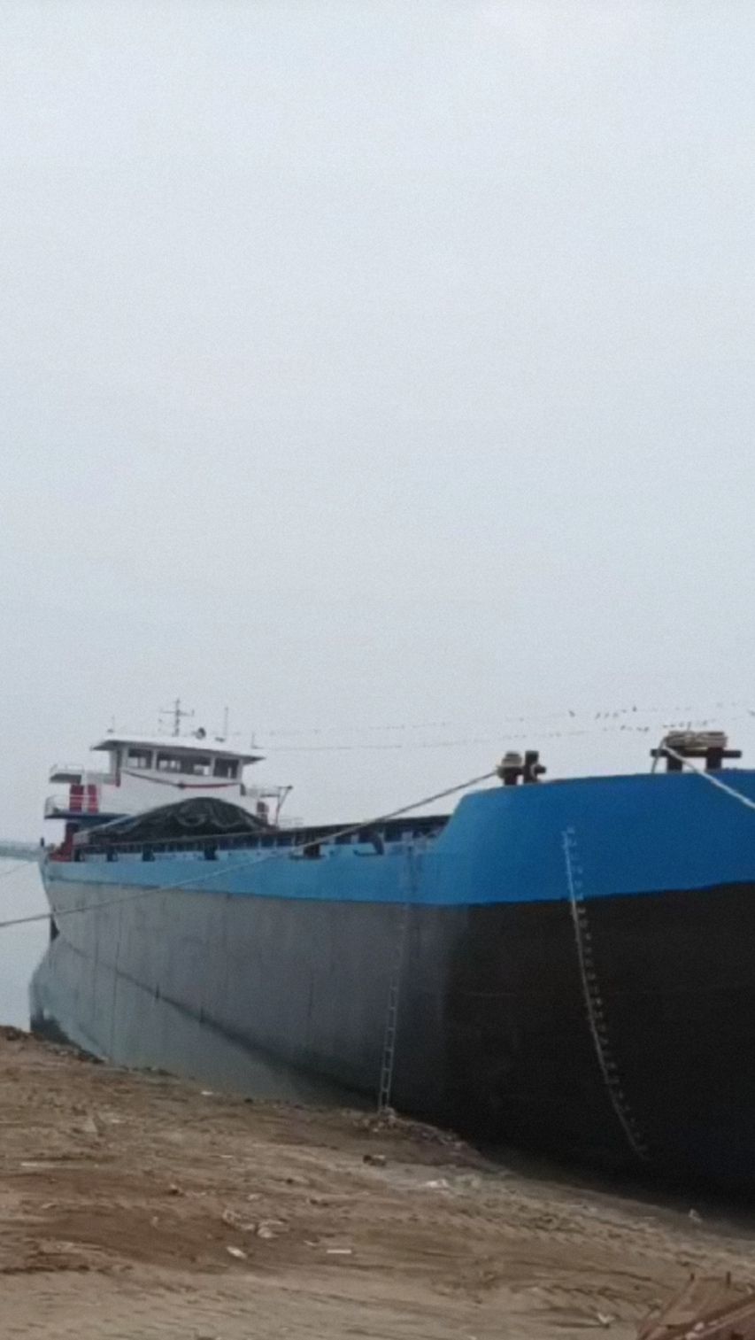 出售88米新造5200吨散货船