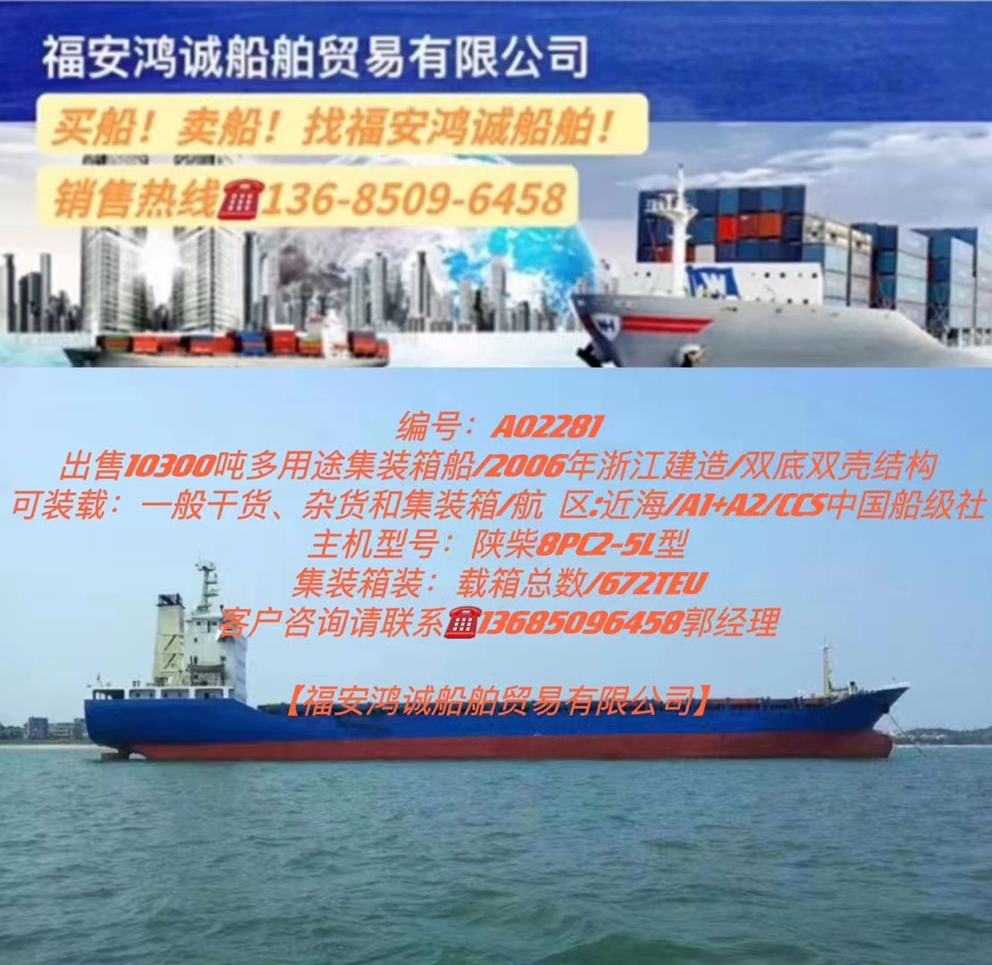 出售10300吨多用途集装箱船： 2006年浙江建造