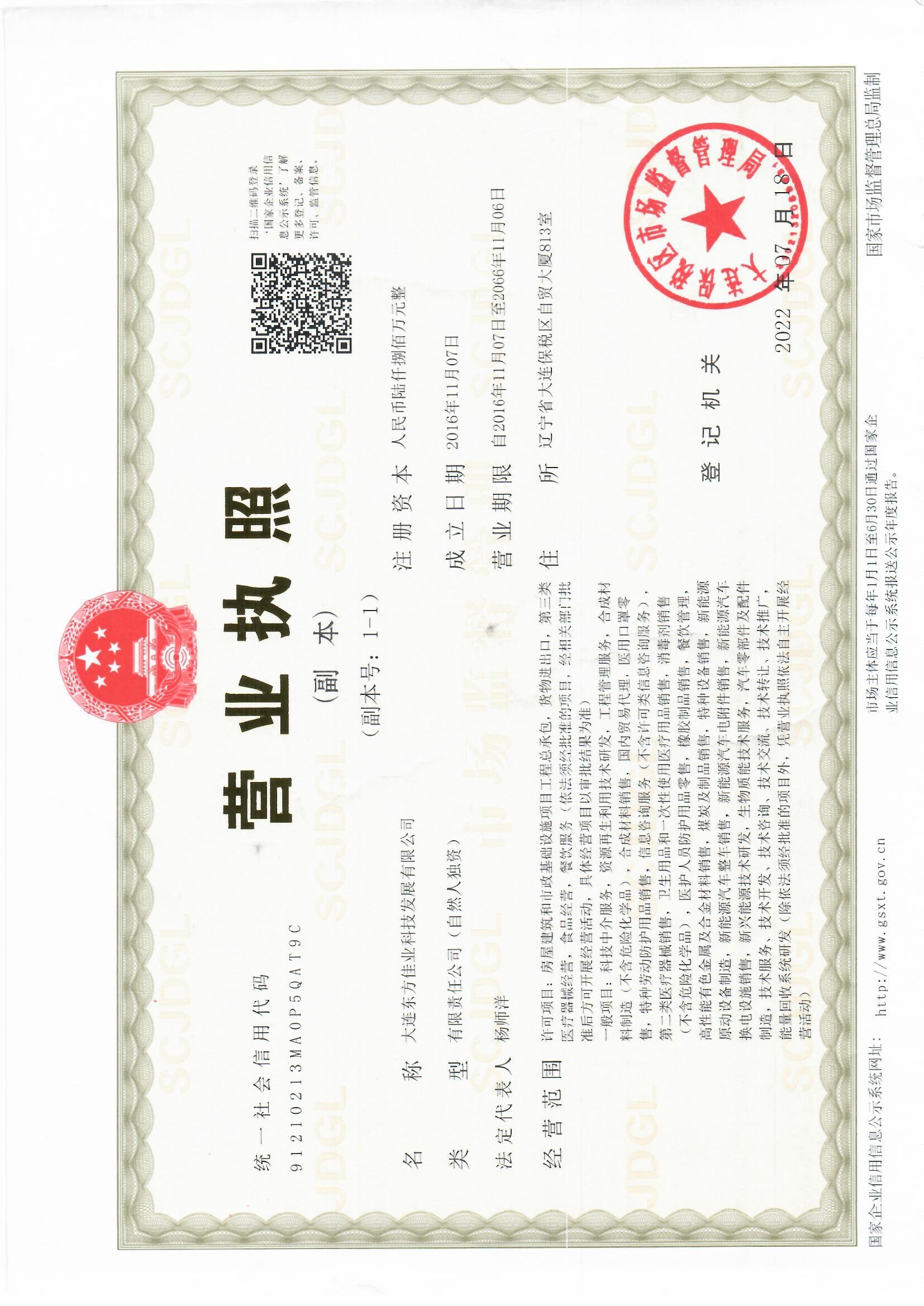 大连东方佳业科技发展有限公司