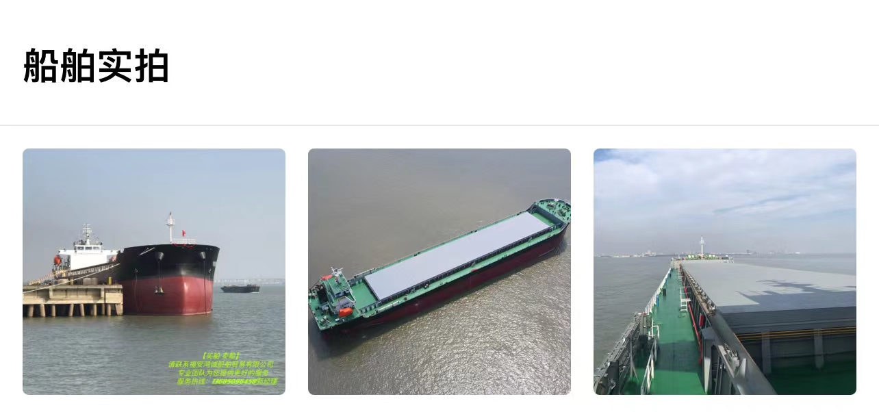 出售实载17000吨散货船（双机） 2021年4月江苏建造