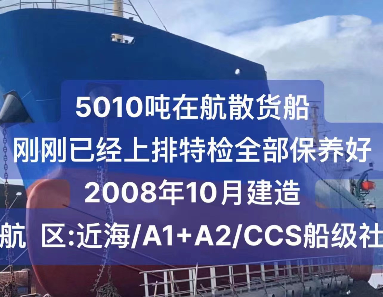 出售：5010吨在航散货船 刚已经上排特检保养好/ 2008年10月建造/