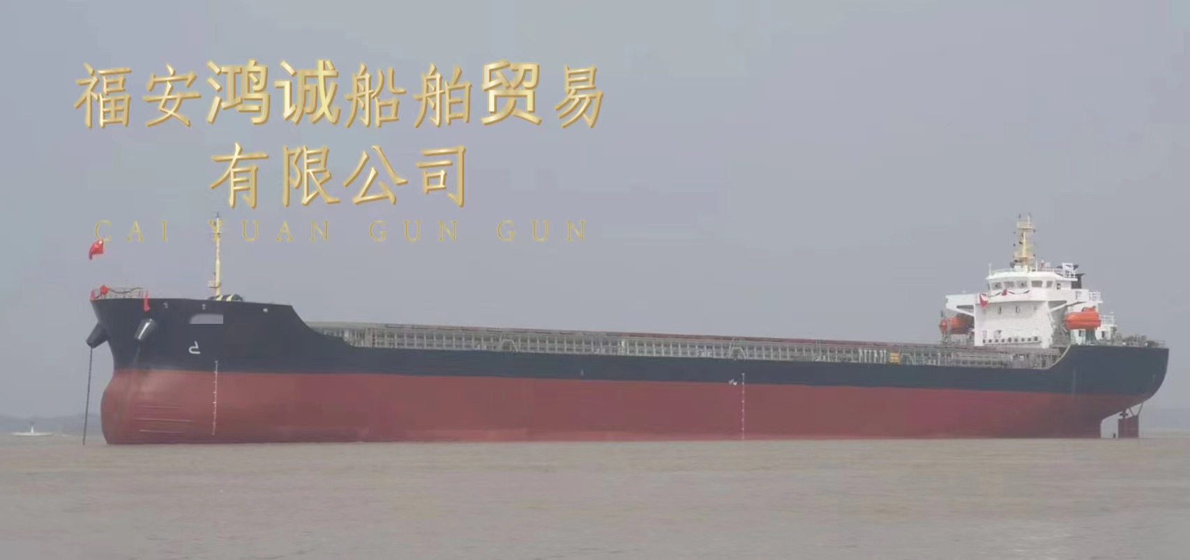 出售17200吨在航散货船： 2021年11月安徽建造/