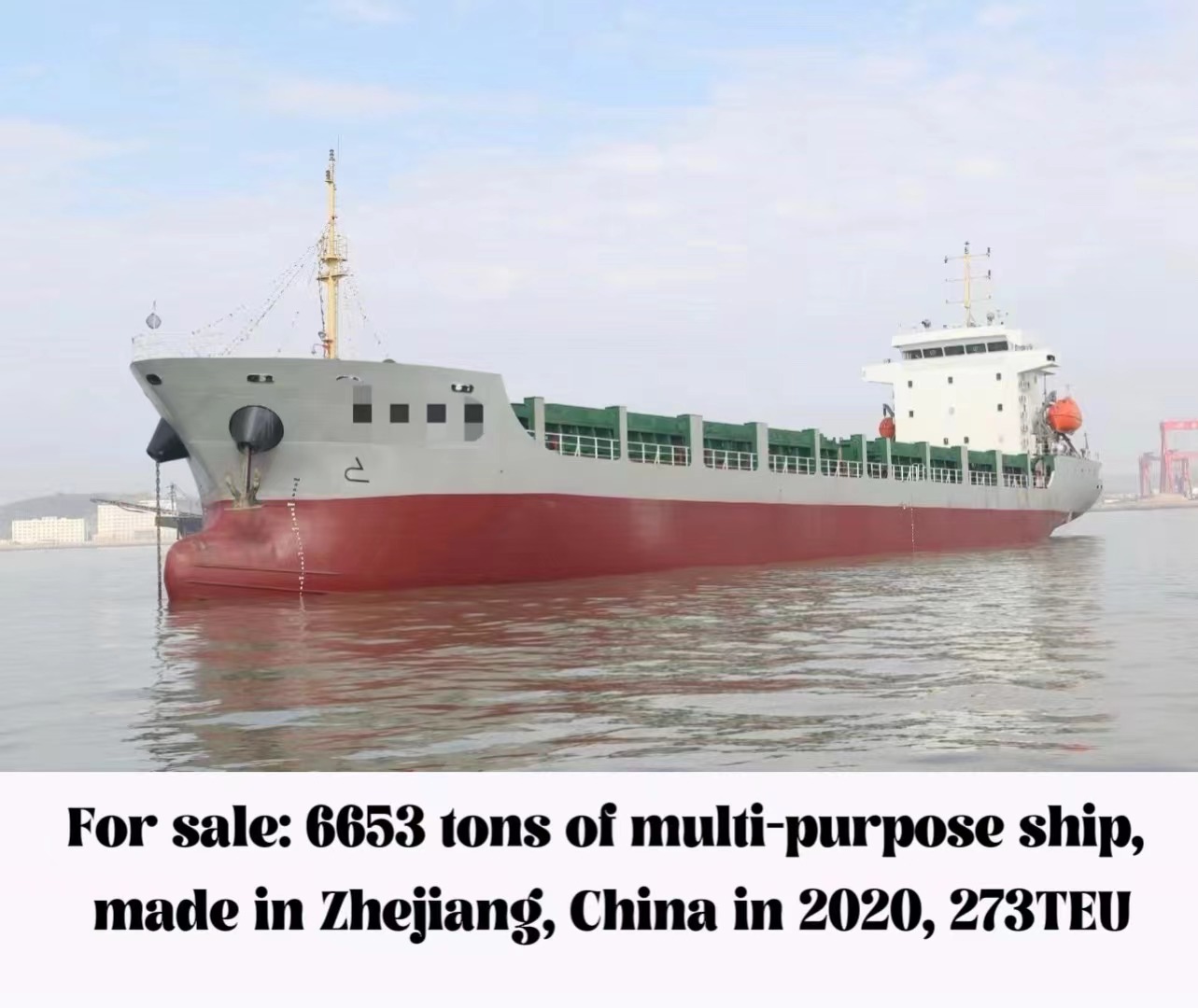 For sale: 6653 tons of multi-purpose ship, made in Zhejiang, China in 2020, 273TEU