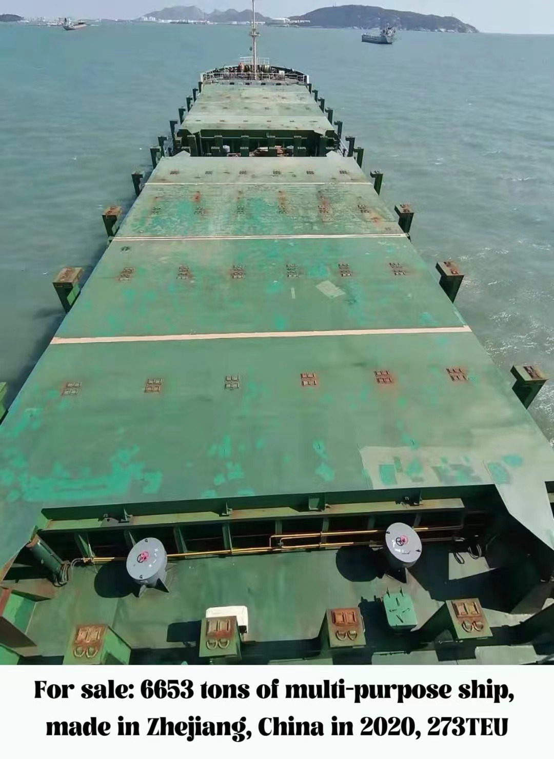 For sale: 6653 tons of multi-purpose ship, made in Zhejiang, China in 2020, 273TEU