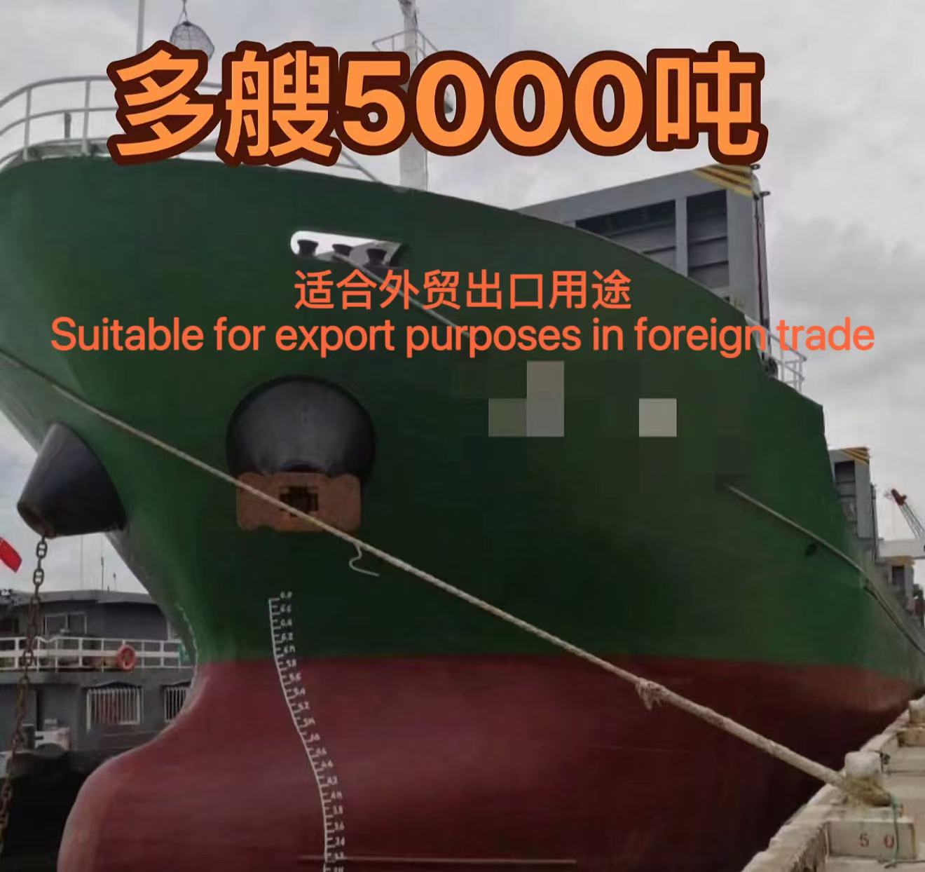 出售:2010年建造 5000吨在航多用途船
