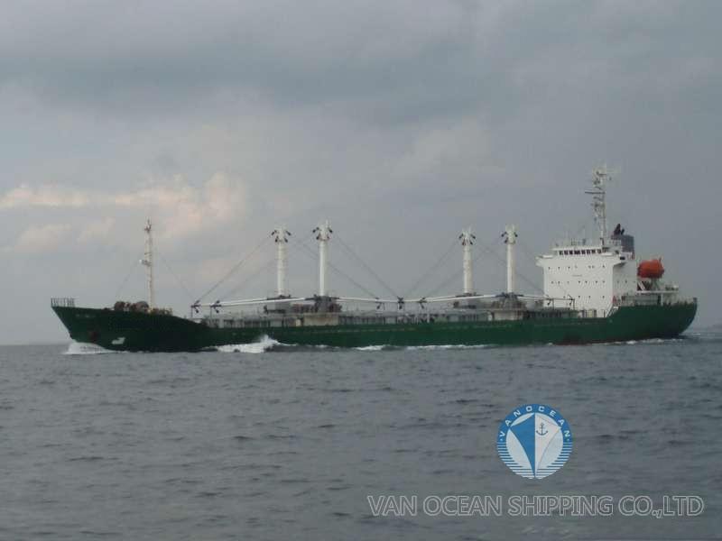 冷藏船REF311 出售