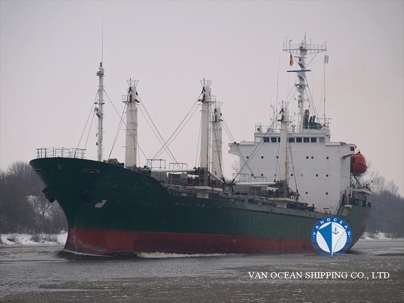 冷藏船REF311 出售