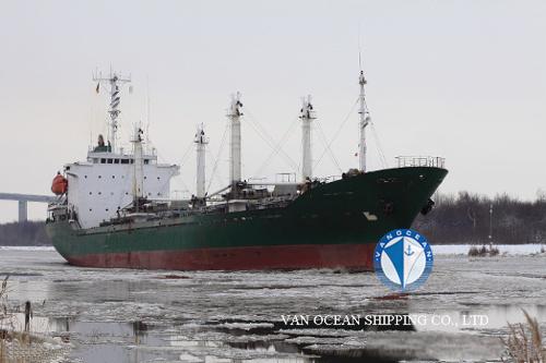 冷藏船REF311 出售