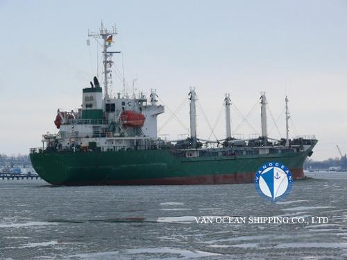 冷藏船REF311 出售