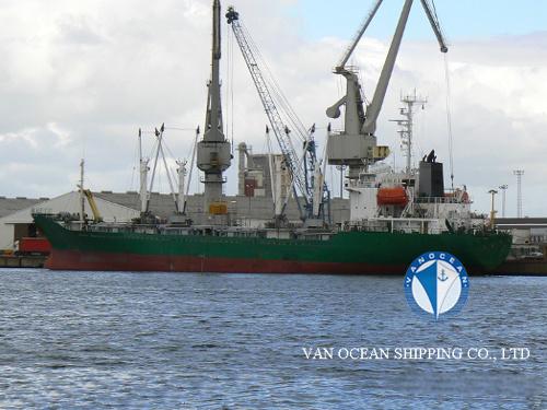 冷藏船REF311 出售