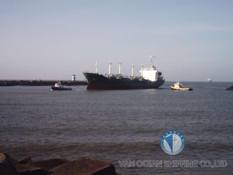 1989年/日本造/冷藏船/REF311