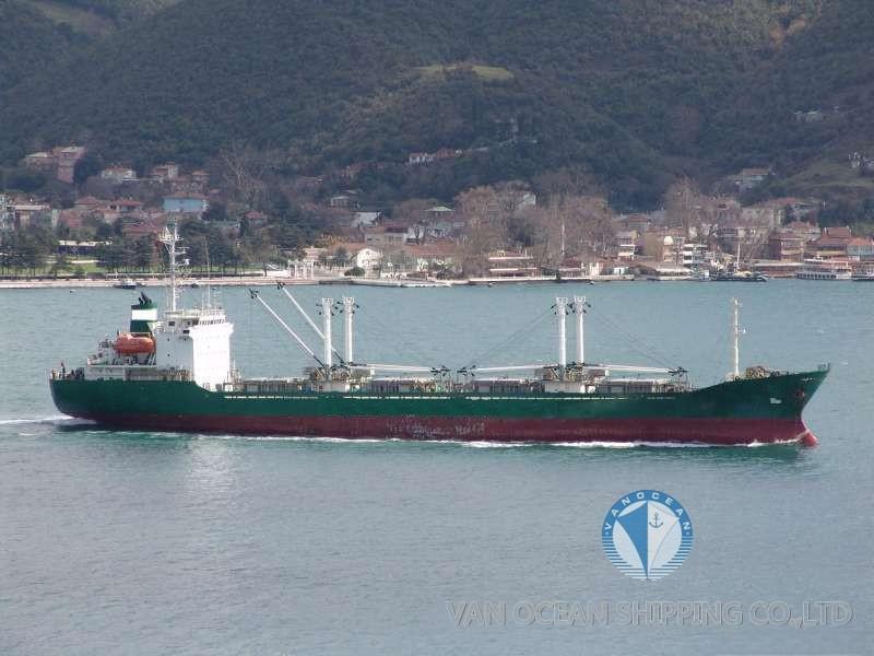 1989年/日本造/冷藏船/REF311