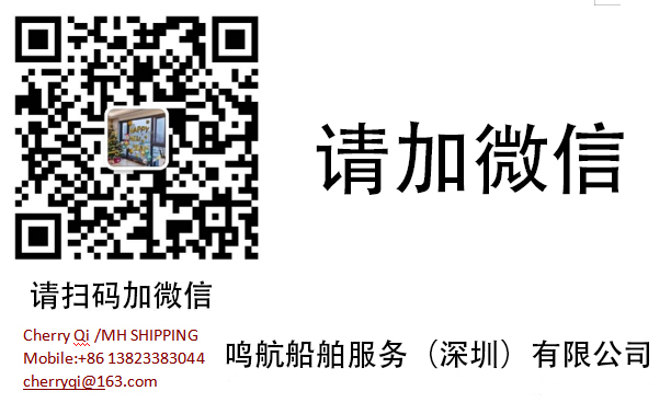 新泻主机 出售2002年造3100马力沿海全回转拖轮