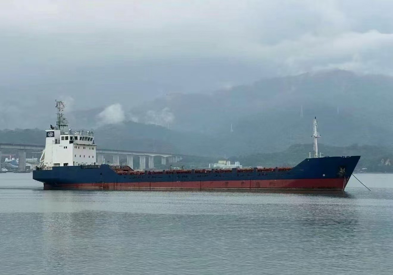 出售：3069吨外贸多用途船（164TEU）